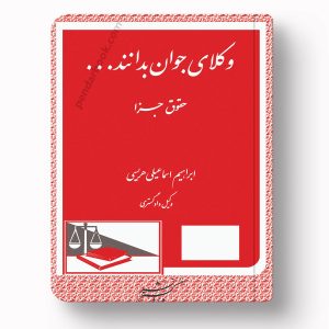 جلد کتاب وکلای جوان باید بدانند حقوق جزا جلد نهم اثر ابراهیم اسماعیلی هریسی انتشارات دادگستر